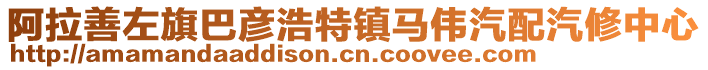 阿拉善左旗巴彥浩特鎮(zhèn)馬偉汽配汽修中心