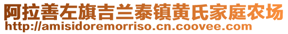 阿拉善左旗吉蘭泰鎮(zhèn)黃氏家庭農(nóng)場(chǎng)