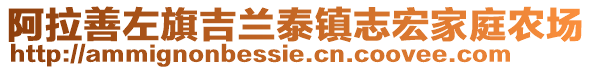 阿拉善左旗吉蘭泰鎮(zhèn)志宏家庭農(nóng)場