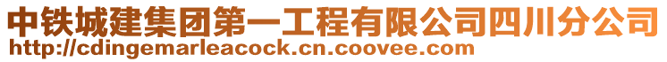 中鐵城建集團(tuán)第一工程有限公司四川分公司