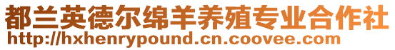 都蘭英德爾綿羊養(yǎng)殖專業(yè)合作社