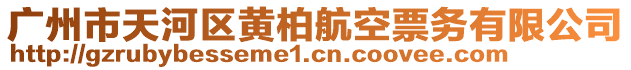 廣州市天河區黃柏航空票務有限公司