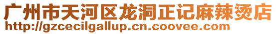 廣州市天河區(qū)龍洞正記麻辣燙店