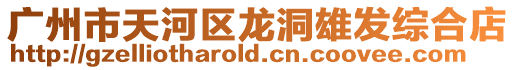 廣州市天河區(qū)龍洞雄發(fā)綜合店