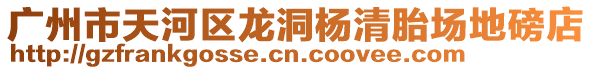 廣州市天河區(qū)龍洞楊清胎場(chǎng)地磅店