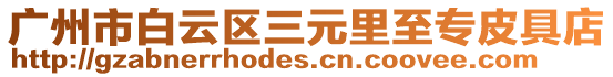 廣州市白云區三元里至專皮具店