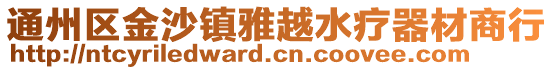 通州區(qū)金沙鎮(zhèn)雅越水療器材商行