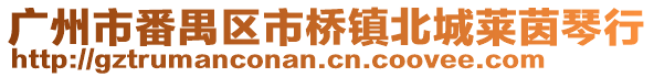 廣州市番禺區(qū)市橋鎮(zhèn)北城萊茵琴行