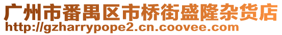 廣州市番禺區(qū)市橋街盛隆雜貨店