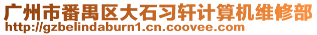 廣州市番禺區(qū)大石習(xí)軒計(jì)算機(jī)維修部