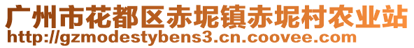 廣州市花都區赤坭鎮赤坭村農業站