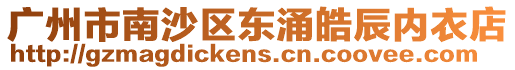 廣州市南沙區東涌皓辰內衣店