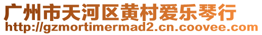 廣州市天河區(qū)黃村愛樂琴行