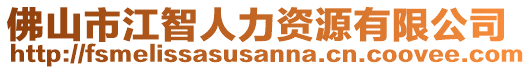 佛山市江智人力資源有限公司