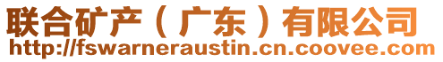 聯合礦產(廣東)有限公司