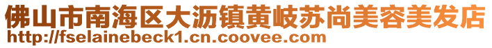 佛山市南海區大瀝鎮黃岐蘇尚美容美發店