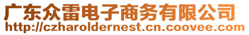 廣東眾雷電子商務(wù)有限公司