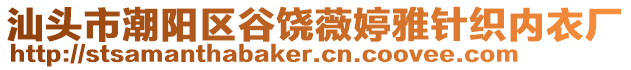汕頭市潮陽區谷饒薇婷雅針織內衣廠