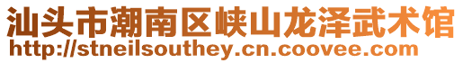 汕頭市潮南區(qū)峽山龍澤武術(shù)館