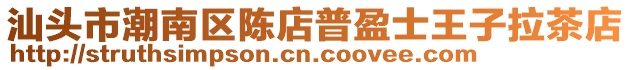 汕頭市潮南區陳店普盈士王子拉茶店