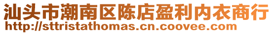 汕頭市潮南區陳店盈利內衣商行