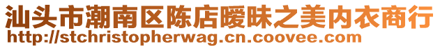 汕頭市潮南區(qū)陳店曖昧之美內(nèi)衣商行