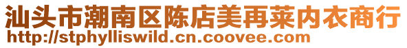 汕頭市潮南區(qū)陳店美再萊內(nèi)衣商行