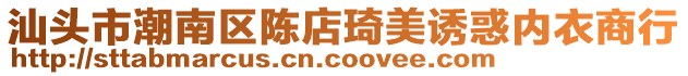 汕頭市潮南區陳店琦美誘惑內衣商行