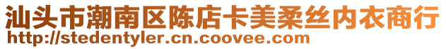 汕頭市潮南區(qū)陳店卡美柔絲內(nèi)衣商行
