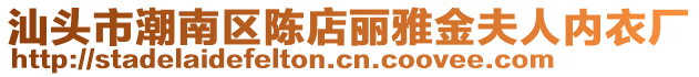 汕頭市潮南區陳店麗雅金夫人內衣廠