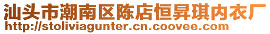 汕頭市潮南區陳店恒昇琪內衣廠