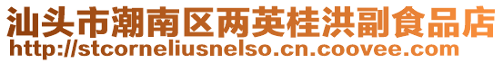 汕頭市潮南區兩英桂洪副食品店