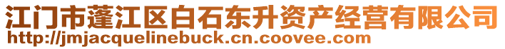 江門市蓬江區(qū)白石東升資產(chǎn)經(jīng)營有限公司