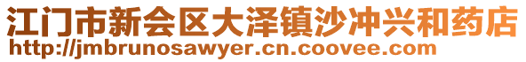 江門(mén)市新會(huì)區(qū)大澤鎮(zhèn)沙沖興和藥店