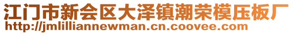 江門市新會區大澤鎮潮榮模壓板廠