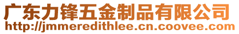 廣東力鋒五金制品有限公司