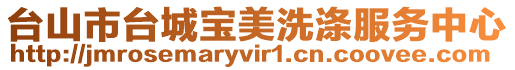 臺山市臺城寶美洗滌服務中心