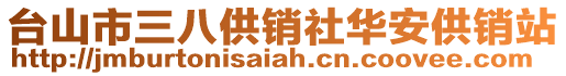 臺山市三八供銷社華安供銷站