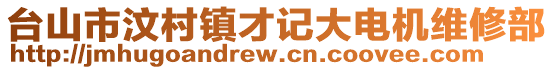 台山市汶村镇才记大电机维修部