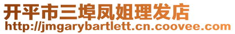 開平市三埠鳳姐理發(fā)店