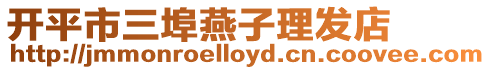 開平市三埠燕子理發店