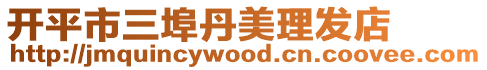開平市三埠丹美理發店