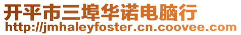 開平市三埠華諾電腦行