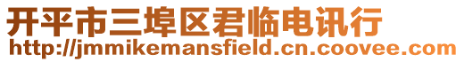 開平市三埠區君臨電訊行