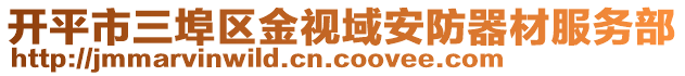 開平市三埠區金視域安防器材服務部
