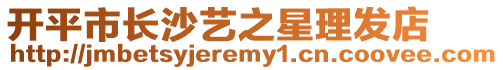 開平市長沙藝之星理發店