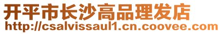 開平市長沙高品理發店