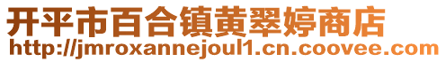 開平市百合鎮黃翠婷商店