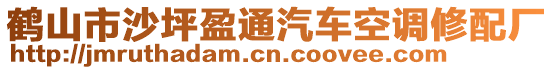 鶴山市沙坪盈通汽車空調(diào)修配廠