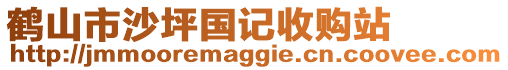 鶴山市沙坪國(guó)記收購(gòu)站